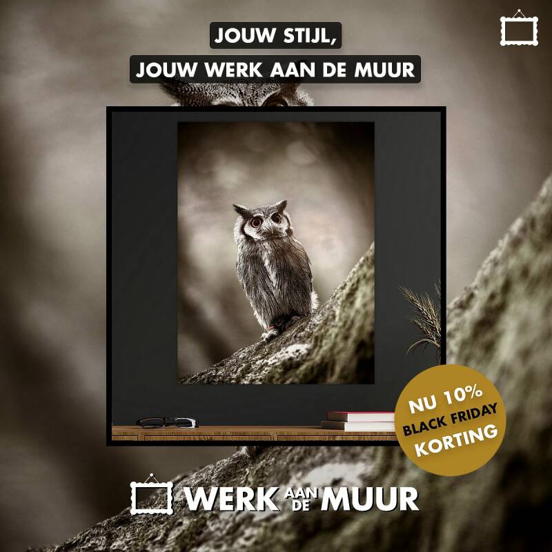 Dwerguil door kbdesignphotography nu met korting