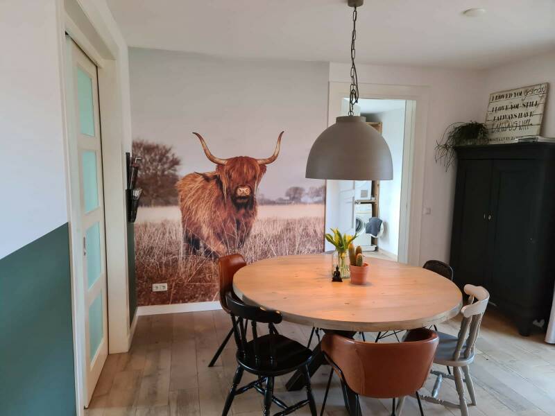 Schotse Hooglander op behang door KB Design Photography