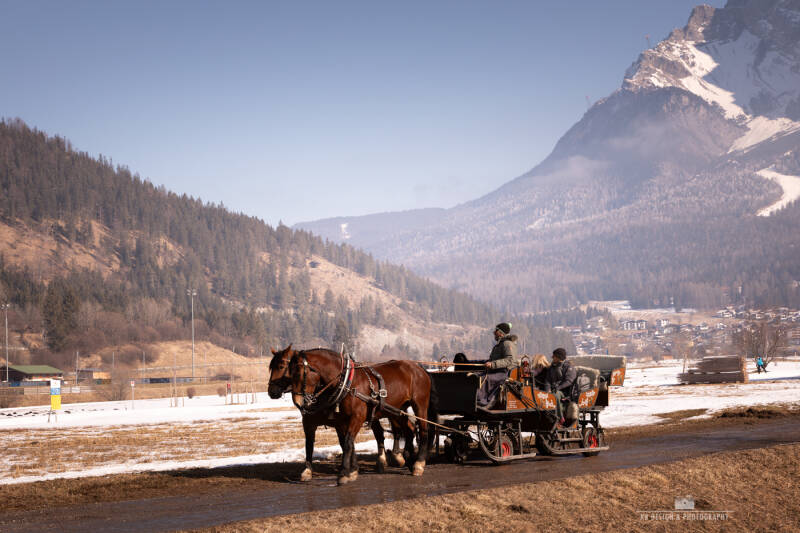 Traditionele paardenslee met twee paarden in de Moos bij Lermoos in Tirol, Oostenrijk. Een sfeervol winterlandschap met besneeuwde Alpen op de achtergrond.