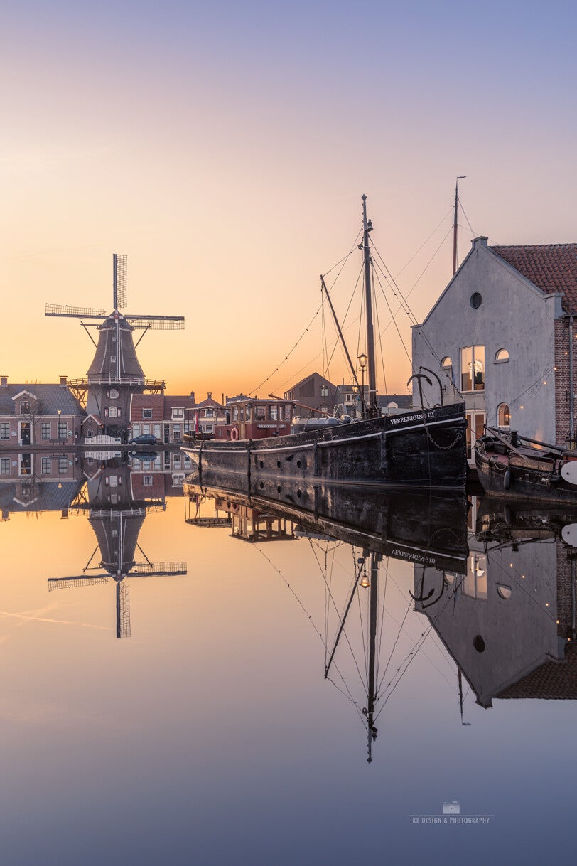 Een eenzame boom rijst op uit een zee van groen langs de Reest, gehuld in de gouden gloed van de opkomende zon. De ochtendmist dempt de wereld, waardoor alleen vormen en kleuren overblijven — zacht, dromerig en stil.