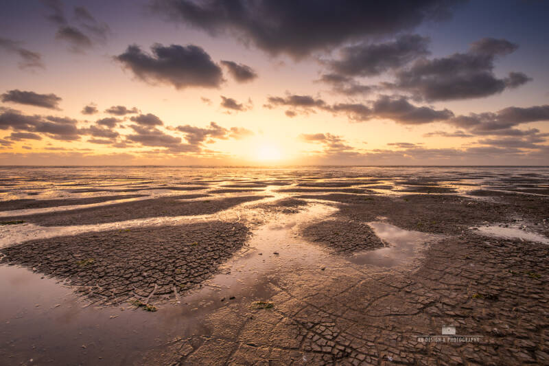 Gouden zonsondergang boven het Wad bij Koehool