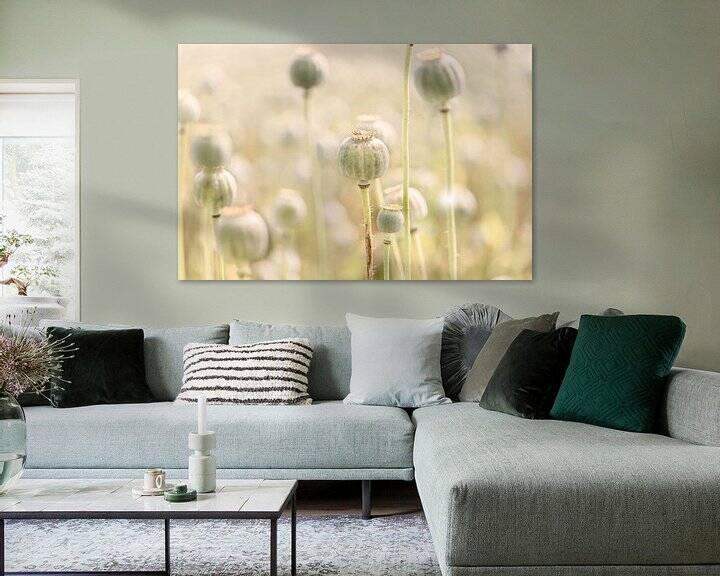 Papaverbollen veld in pastel kleuren door KB Design  & Photography