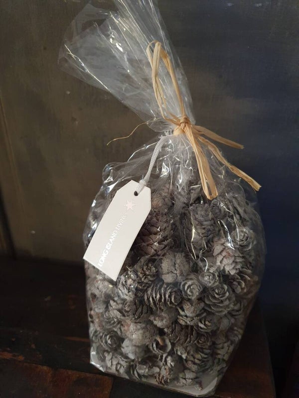 Dennenappeltjes zilver