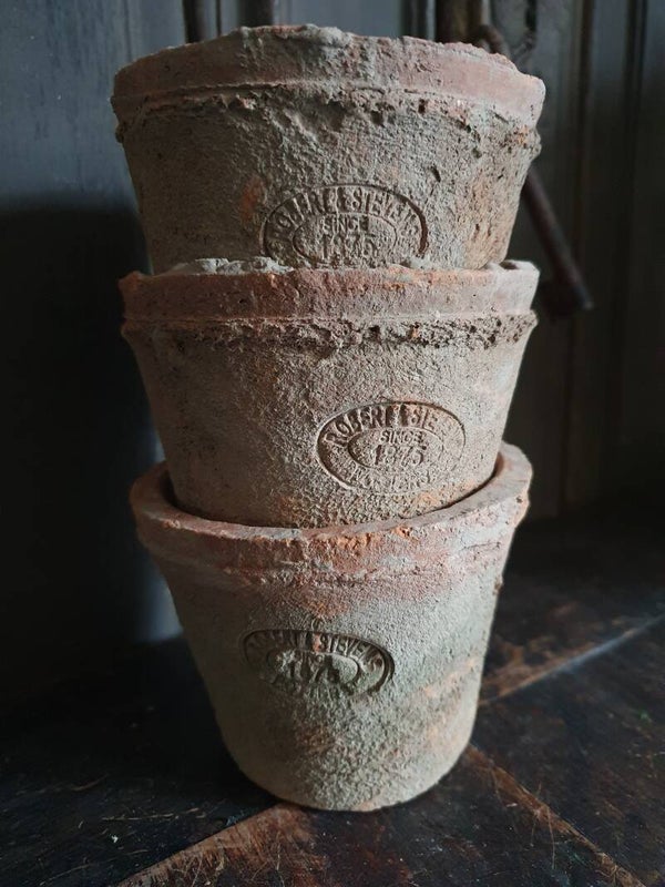 Aged terracotta Pot