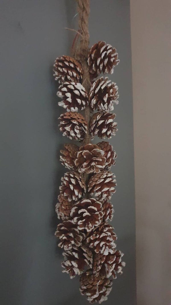 Hanger Pinecone Snow