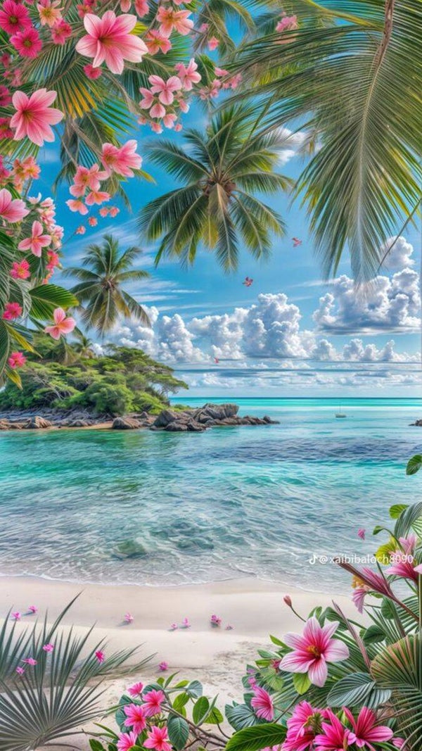 Summer Time Here One Haiku