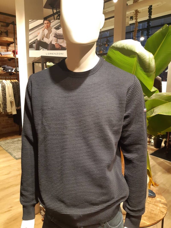 Impulso trui W160113