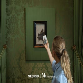 SecridGoldfinch-Mauritshuis.jpg