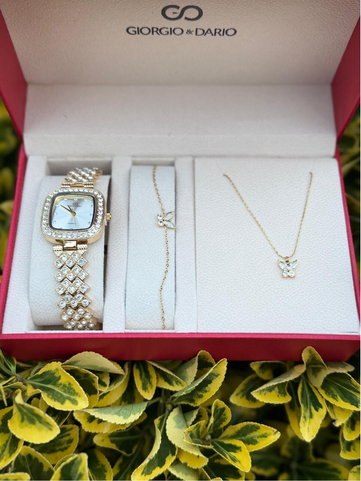 Watch set with Butterflies