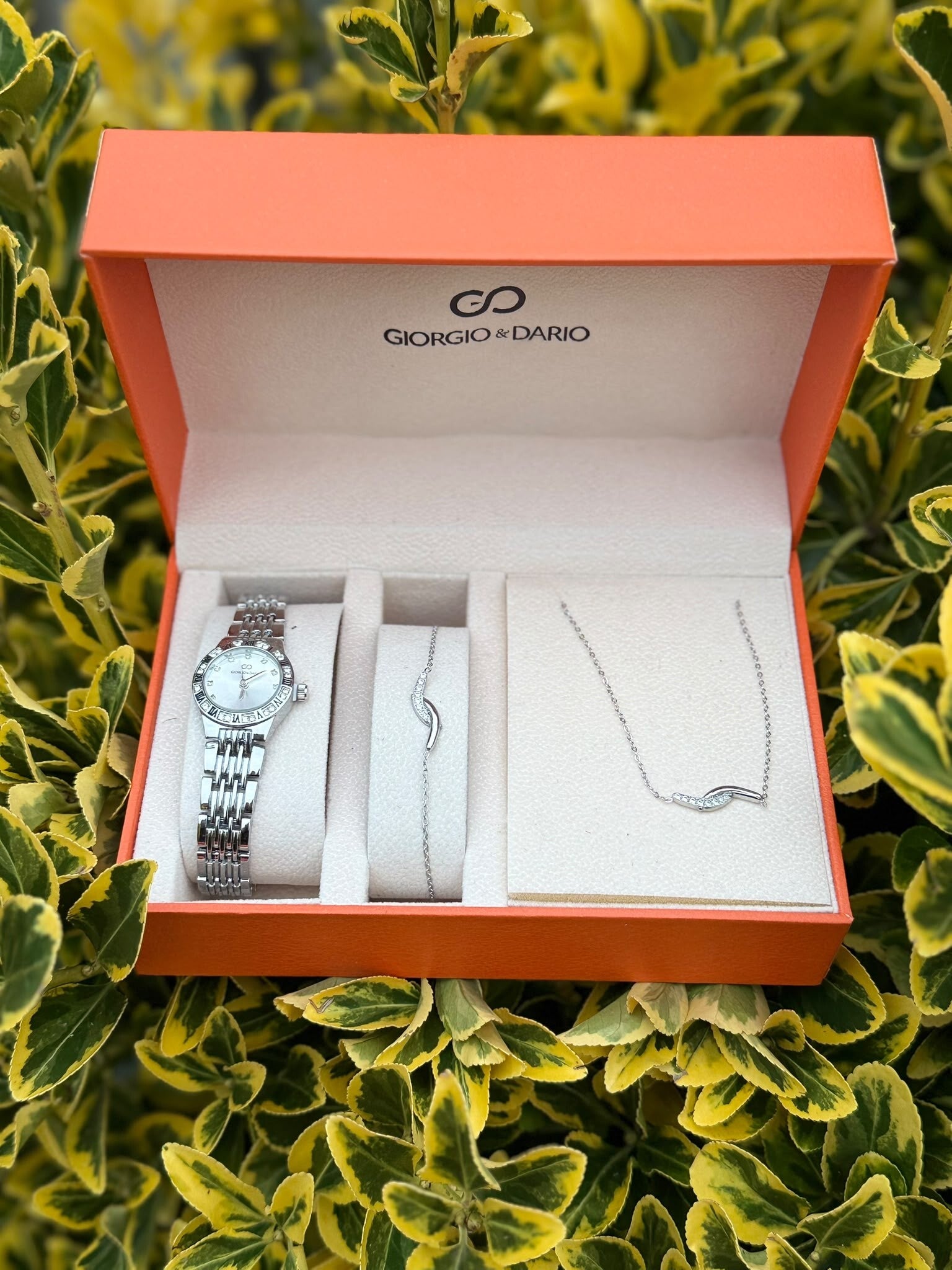 Watch Set Silver