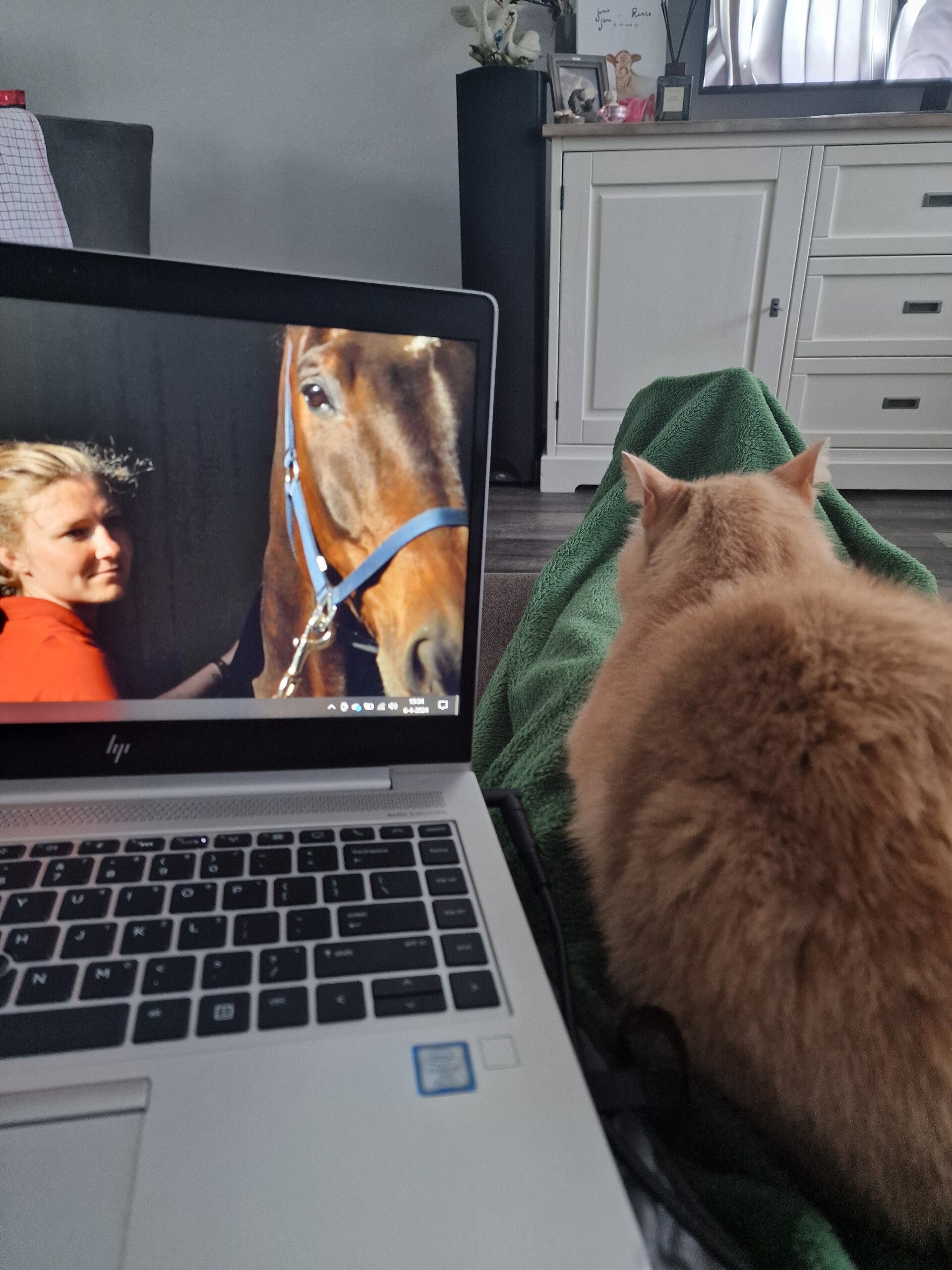 Online foto reading