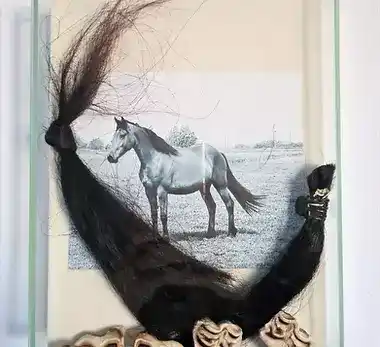 Foto reading overleden dieren