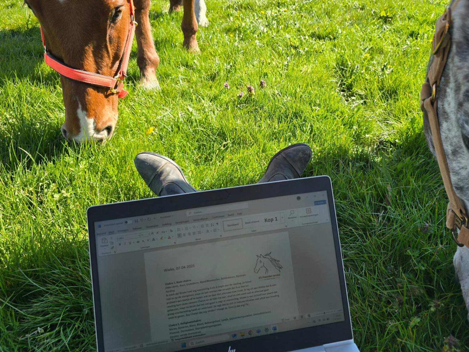 Online foto reading