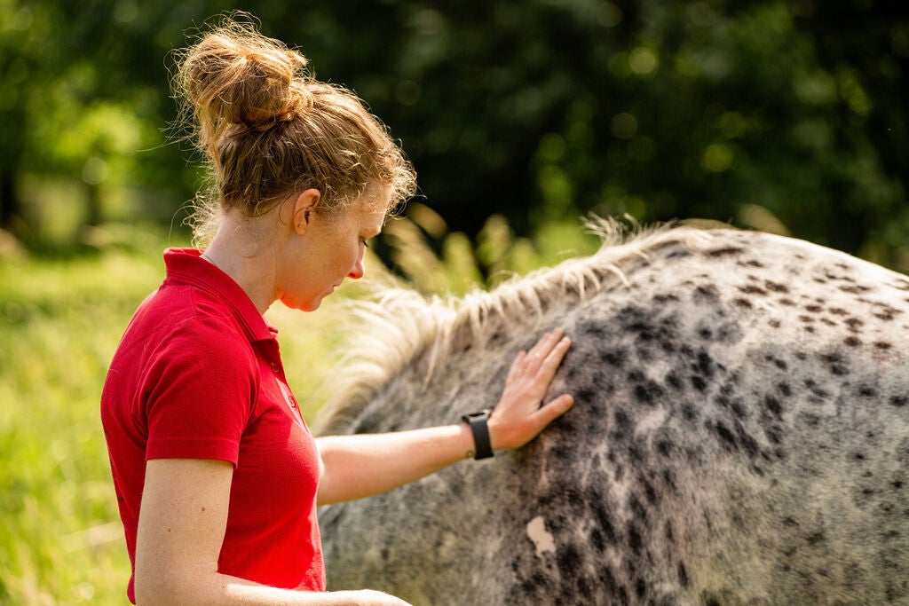 Reading op locatie voor een paard. Foto door Luniq fotografie