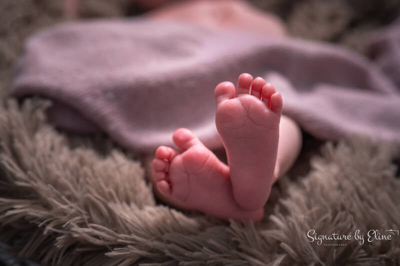 11-vieve-signaturebyeline-standard-72iyas.jpg