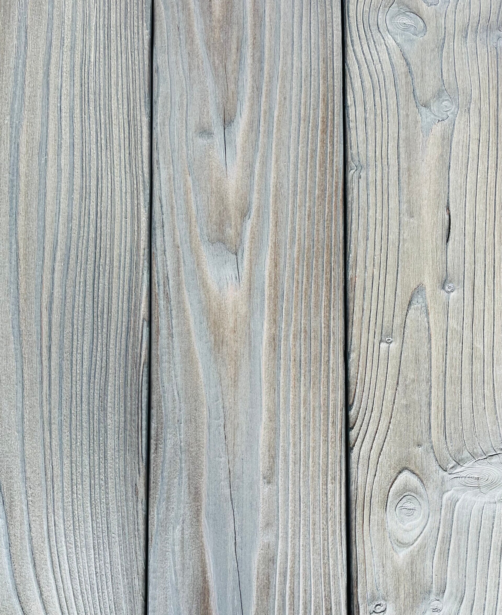 Sugi Silver Grey