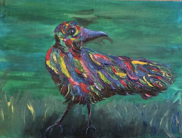 Colours of the Raven