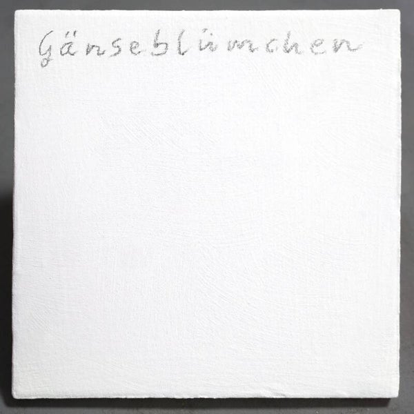 Tietz Lehmfarbe Forte – Gänseblümchen (weiß) | ökologische Innenraumfarbe