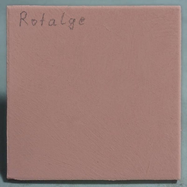 Tietz Lehmfarbe Nuvola – Rotalge (Rot tendierend zu Altrosa) | ökologische Innenraumfarbe