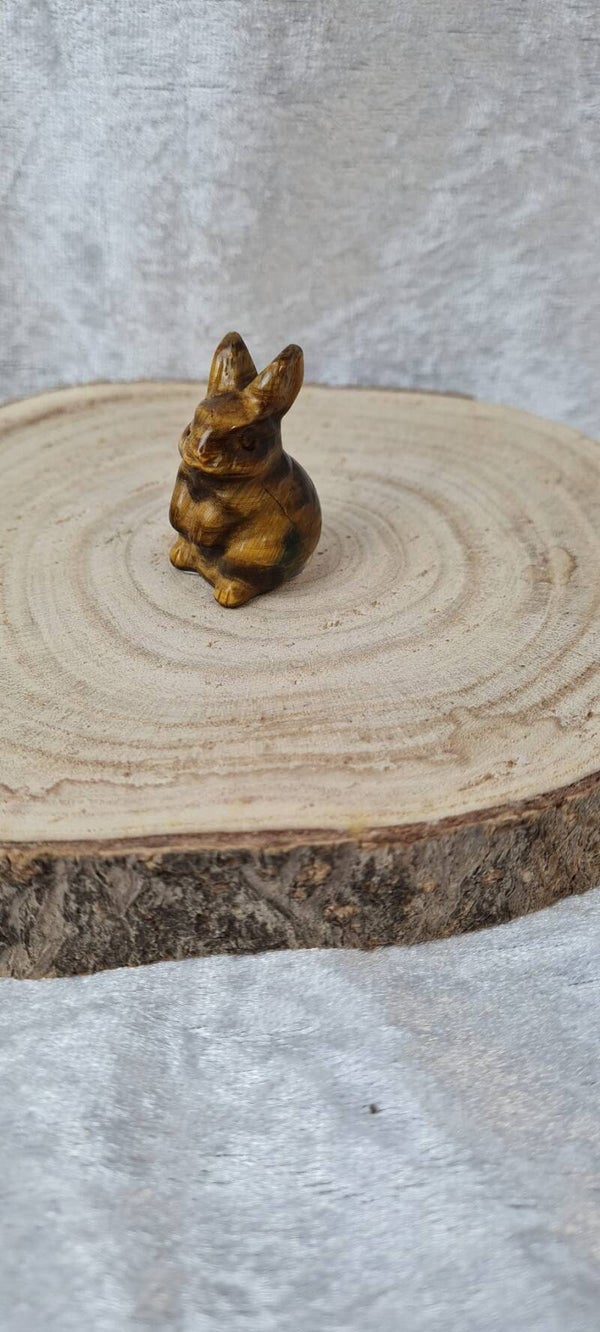 Hase Tigerauge