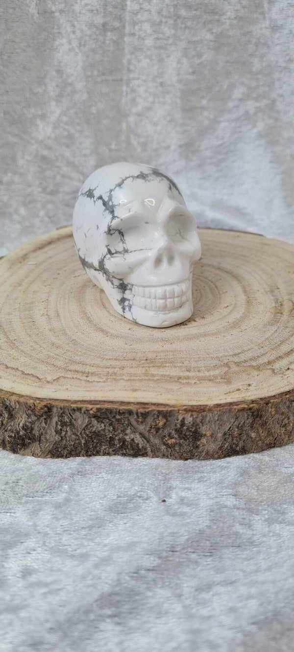 Howlite Skull
