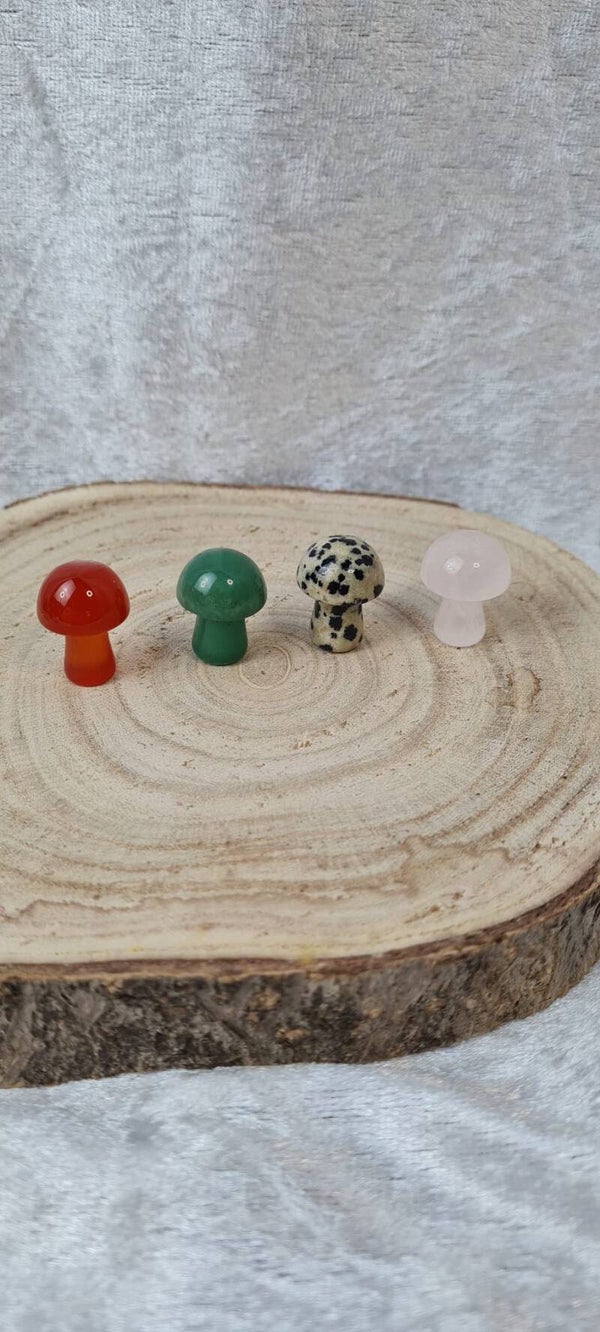 Mystery mini Pilz