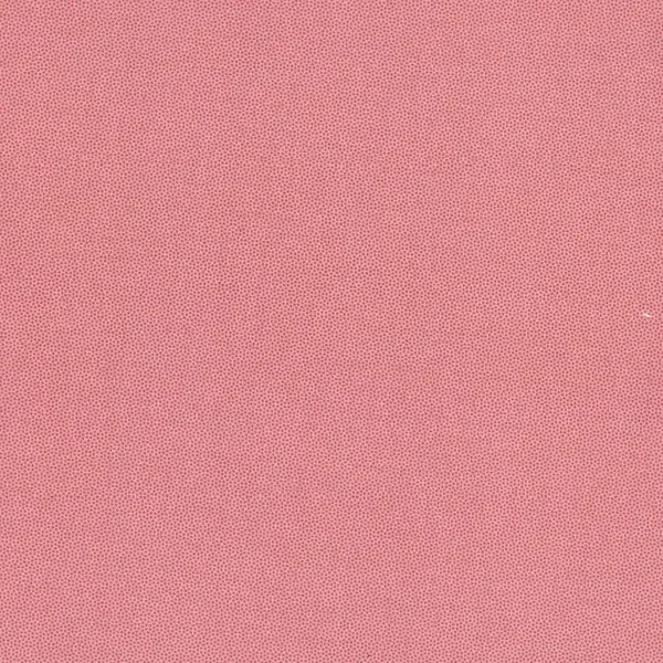 Camellia Pin Dots petra Prins