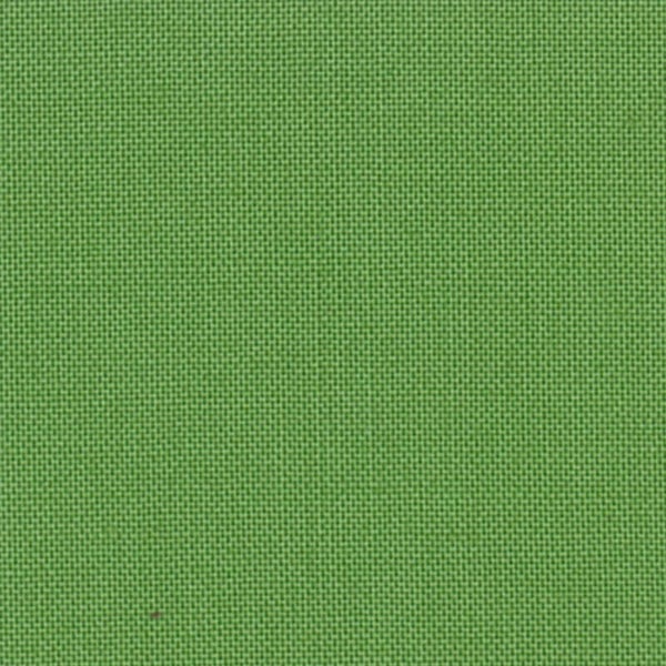Crocodile Green solid DV030