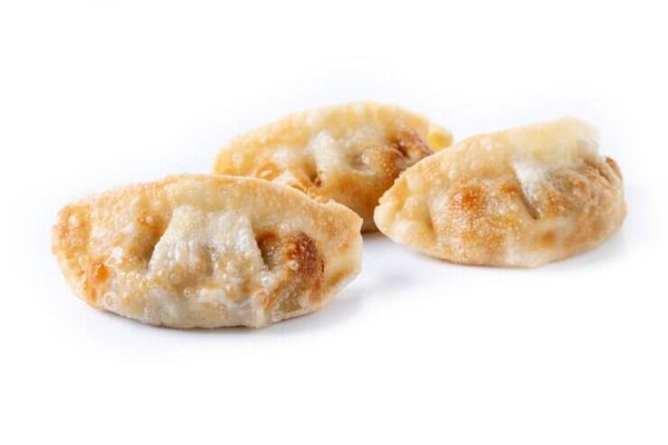 Gyoza Vegetarien 🥟