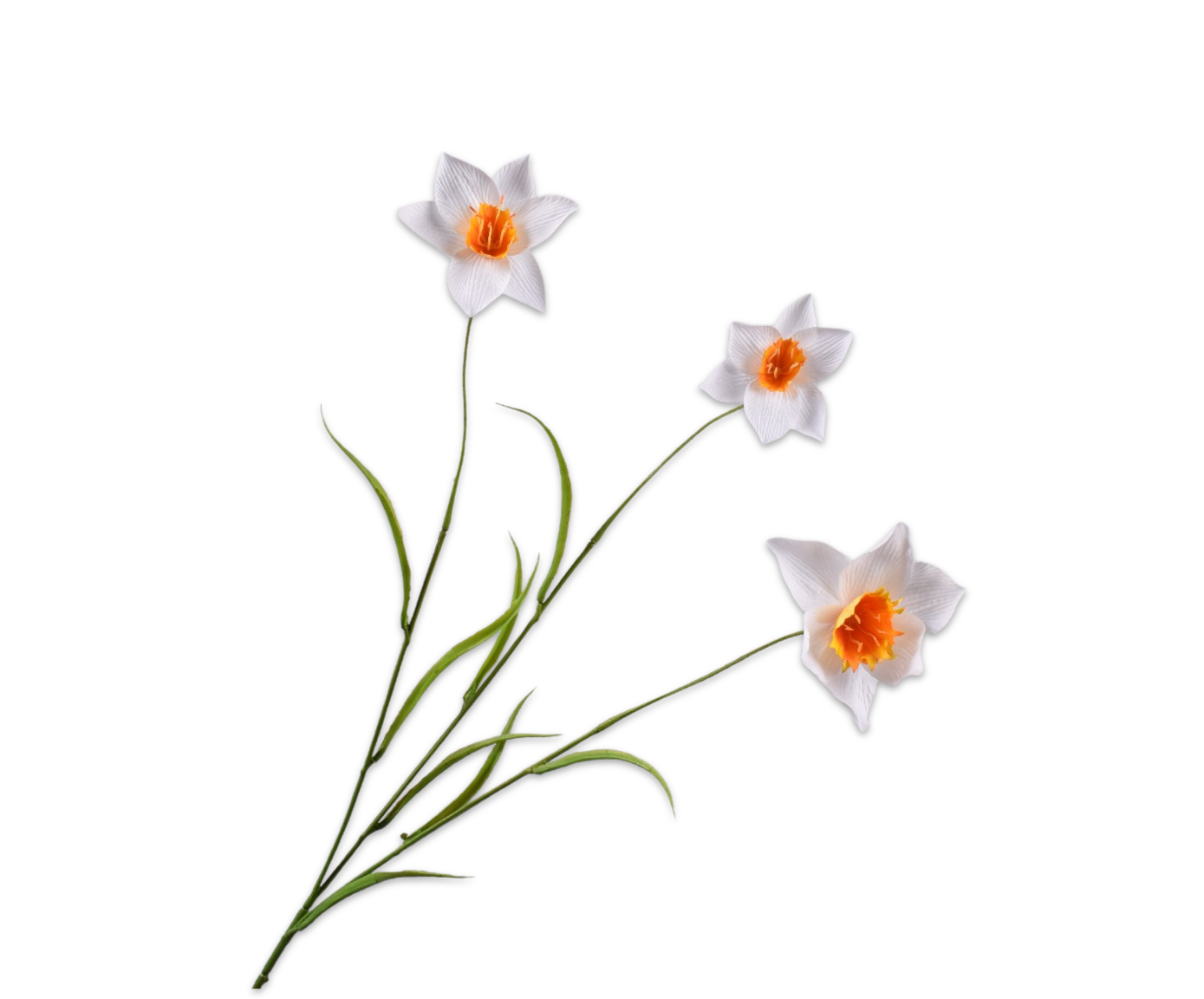 Wit/gele Narcis, Silk-ka