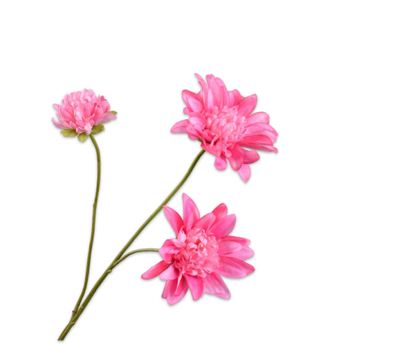 Roze Dahlia, 3 bloemen. Silk-ka