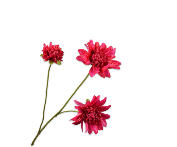 Donker roze Dahlia, 3 bloemen. Silk-ka