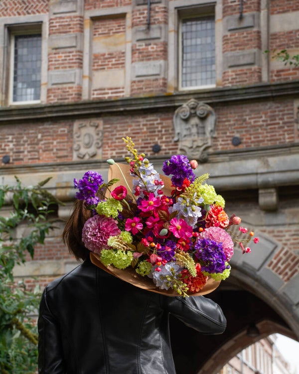 Groei abonnement, bonte kleuren