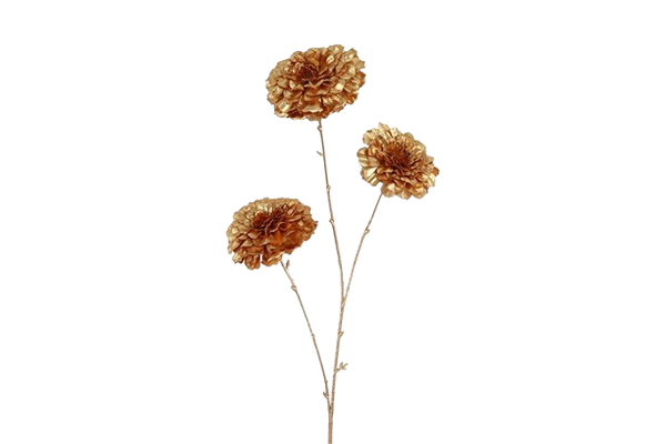 Gouden Zinnia, Countryfield