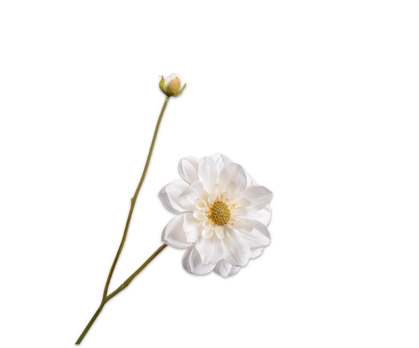 Zijden witte Dahlia. Silk-ka