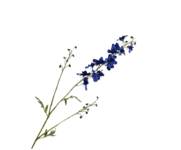 Zijden Delphinium blauw, Silk-ka