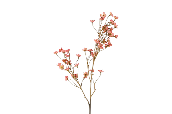 Zijden Forsythia zacht roze, Soft color collectie