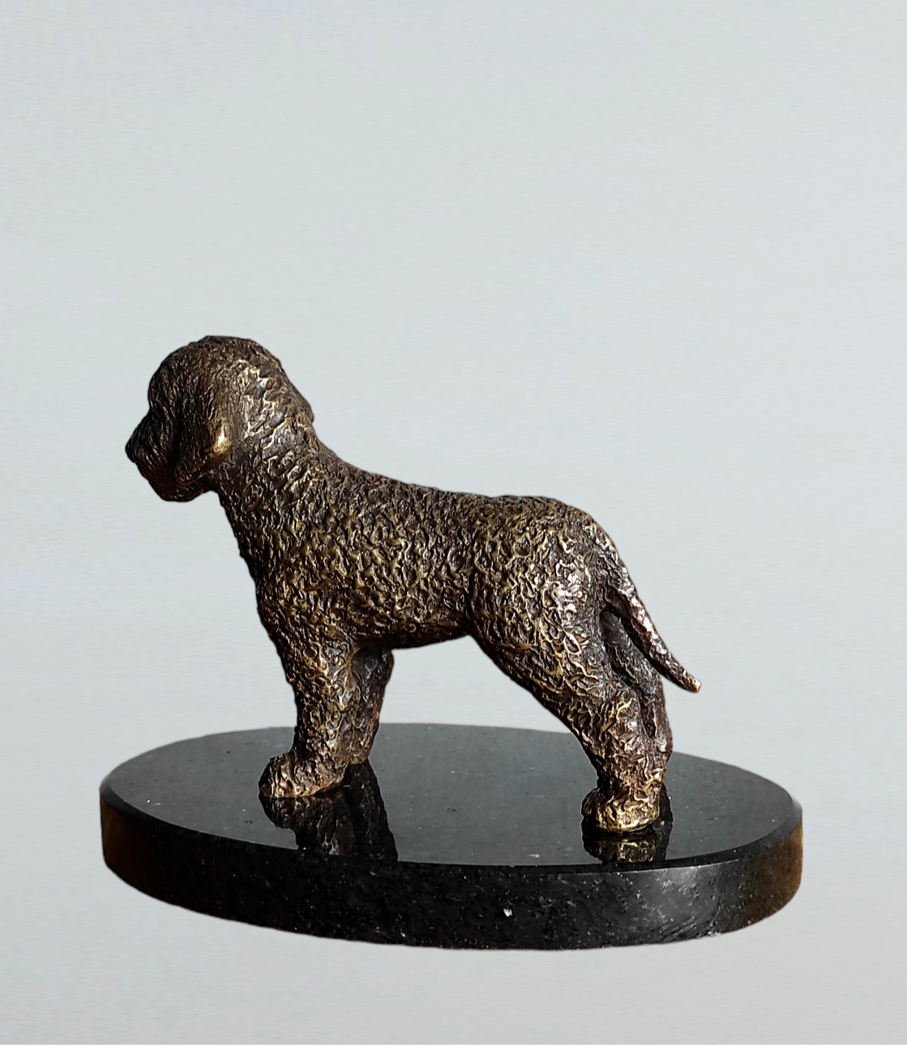 Figurka psa lagotto romagnolo