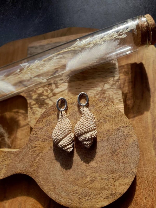 sea shell