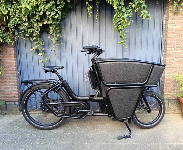 Urban Arrow Shorty, 2022