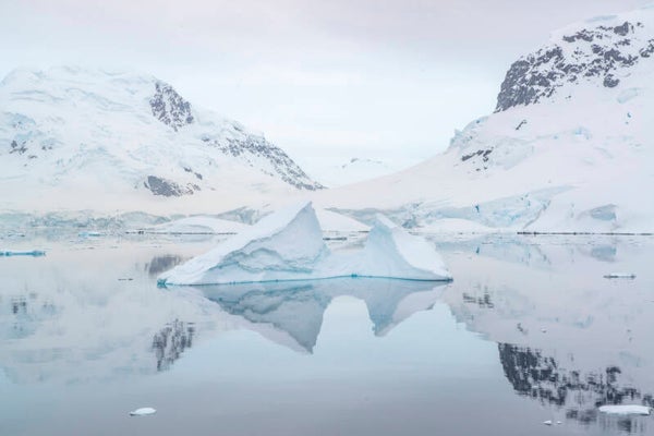 Fine Art Print #1 — Paradise Bay, Antarctica
