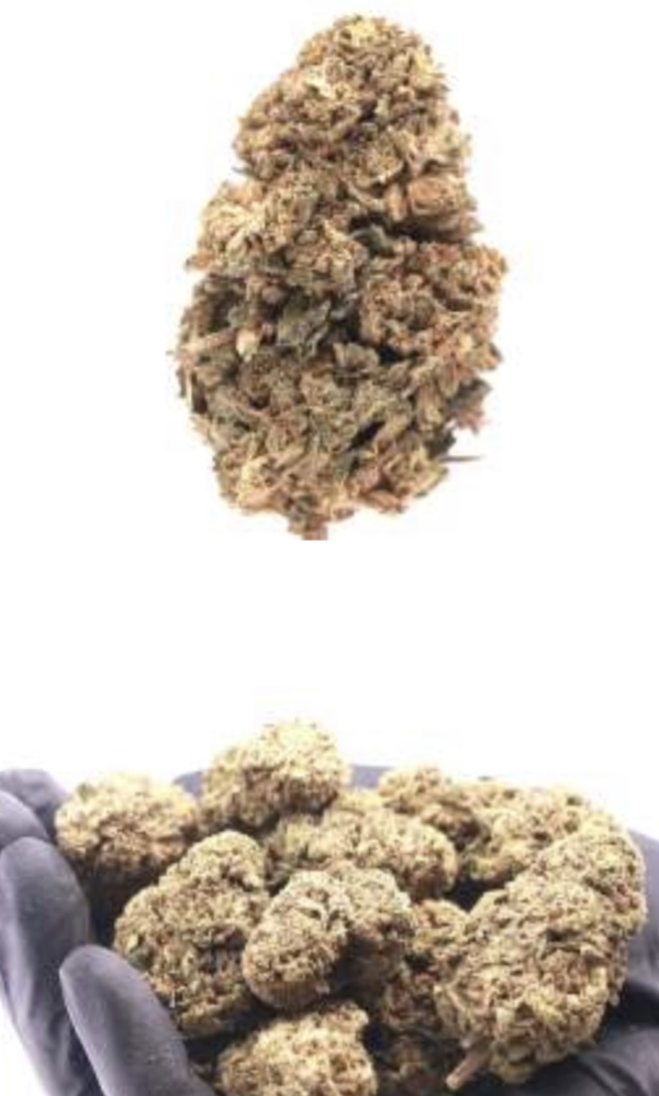 FLORES - INDOOR - CANNATONIC