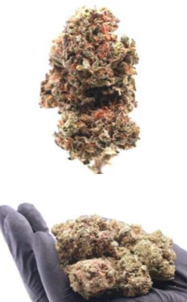 FLORES - INDOOR - STRAWBERRY