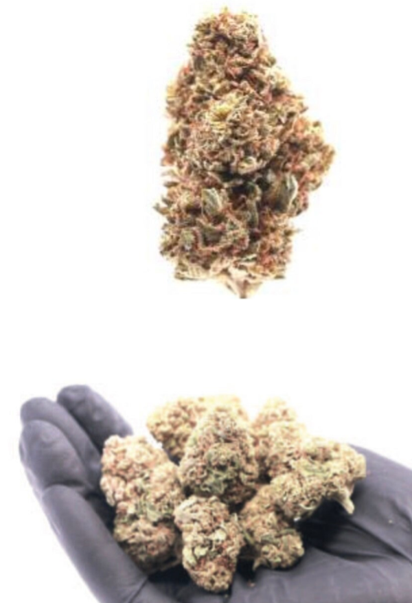 FLORES - INDOOR - B52 - 2 gr