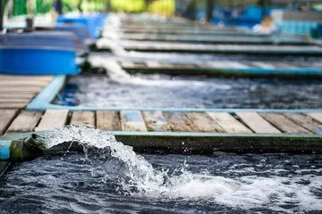 No matter the size of the project, we pride ourselves on doing the job right the first time—on budget—with long-lasting results.