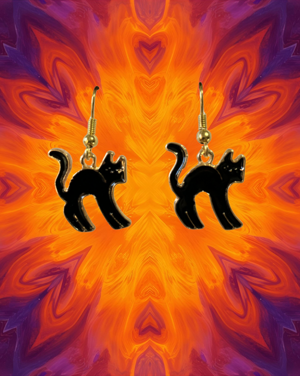 Black Cat Earrings 🐈‍⬛
