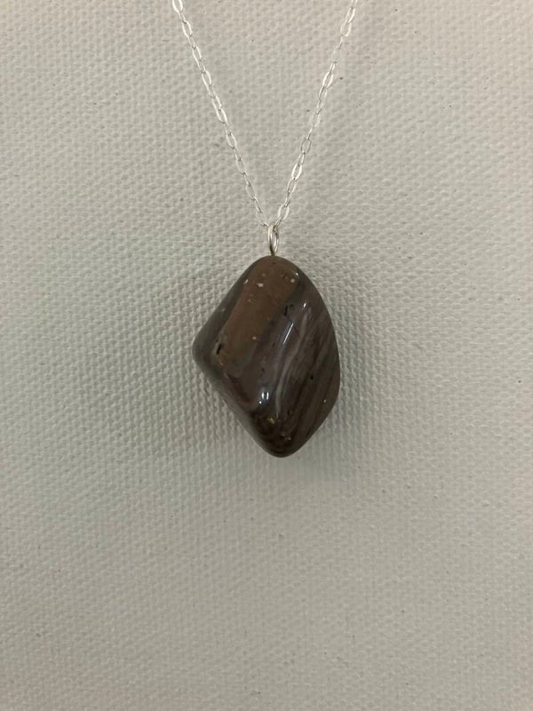 Petrified Wood