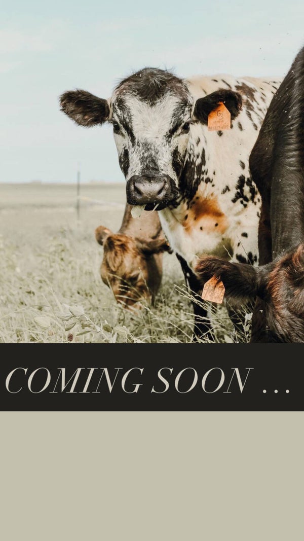 Cielito Lindo Collection