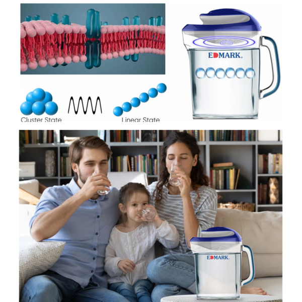 Purificateur d'eau Terawater EDMARK