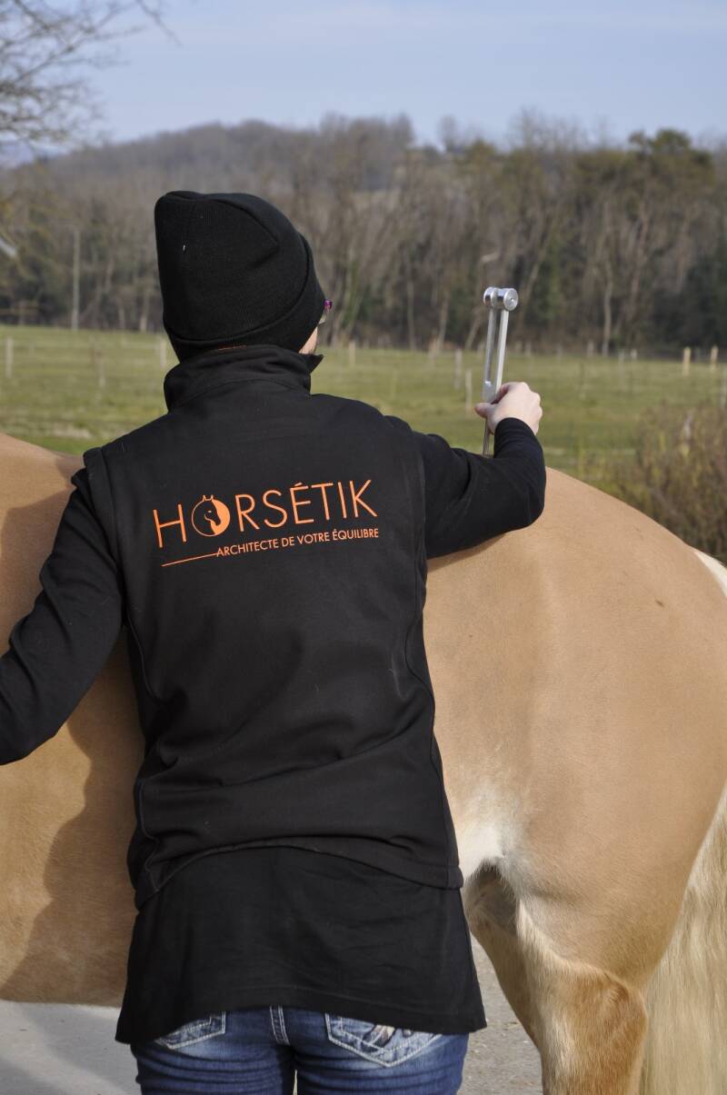 Diapason thérapeutique en kinésiologie équine